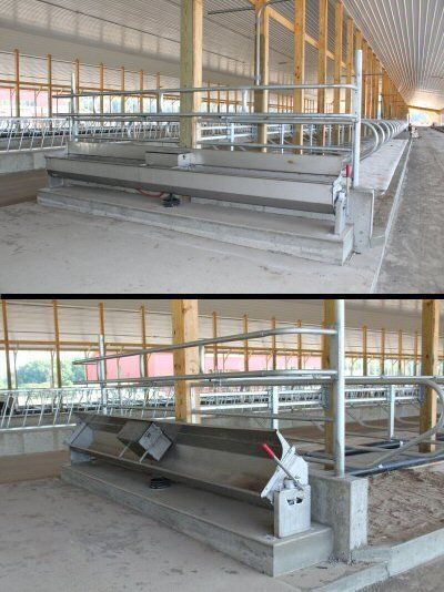 Cattle Barn Designs, Show Cattle Barn, Cattle Housing, Goat Shed, Barn Layout, Cattle Barn, Poultry Equipment, Raising Cattle, Farm Shed