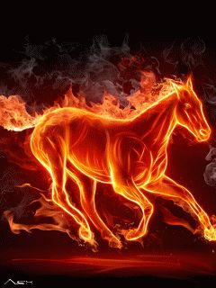 ♞Horse•GiF♘ Denver Broncos Wallpaper, Tamil Music, Broncos Wallpaper, Fire Horse, Tron Legacy, Year Of The Horse, Fire Photography, Horse Wallpaper, Fire Art