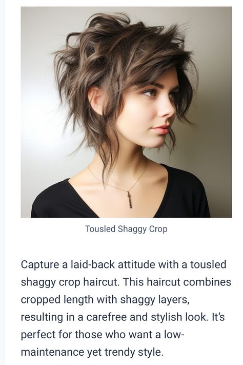 Mullet Over 50, Grungy Short Haircuts, Curtain Bangs With Undercut, Punky Haircut, Short Rocker Hairstyles For Women, Short Shag Hairstyles For Fine Hair, Shag With Undercut, Medium Curly Hair Men, Short Goth Haircuts