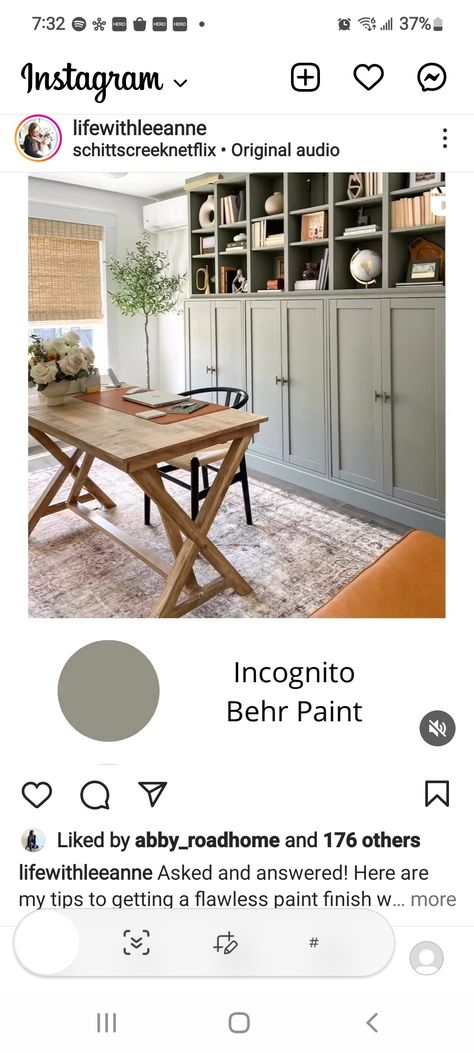 Incognito Paint Behr, Behr Incognito Paint, Behr Incognito, Wabi Sabi Paint Color, Modern Organic Kitchen, Accent Paint Colors, Accent Wall Paint Colors, Best Wall Colors, Accent Wall Colors