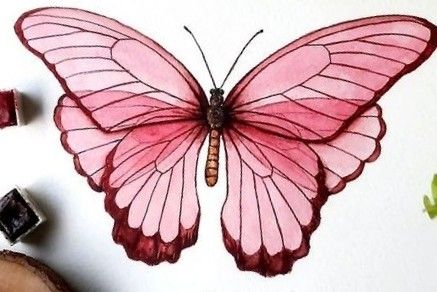 Pink Butterfly Drawing, Butterfly With Pencil Colour, Alcohol Marker Butterfly, Pink Watercolor Butterfly, Pink Butterfly Canvas Painting, Loose Butterfly Watercolor, Alternative Art, Kid Core, Butterfly Drawing