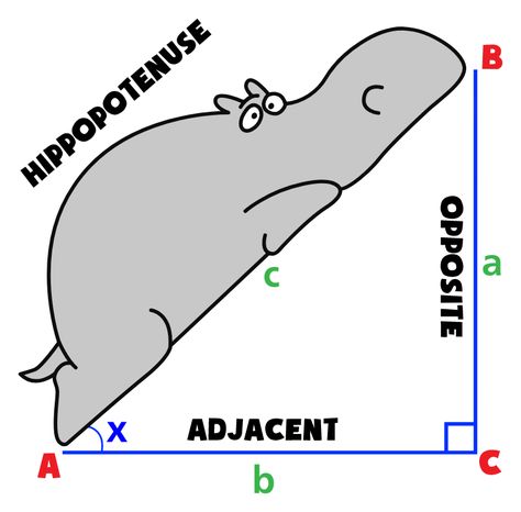 Math and Geometry joke Hippopotenuse sticker. #School #Joke #Math #Geometry #Hippo Cute Math Stickers, Geometry Stickers, Maths Jokes, Gothic Pfp, Virtual Journal, Funny Math Meme, Math Memes Funny, Maths Memes Hilarious, Math Wallpaper