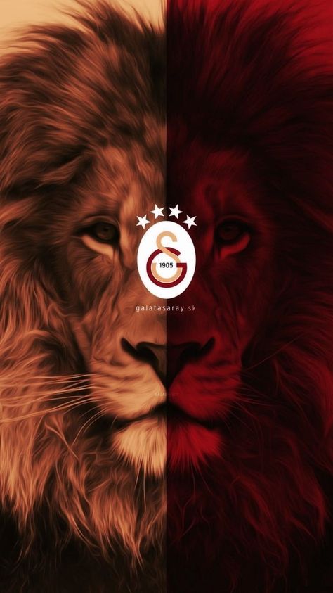 Aslan Wallpapers, Turkish Boys, Funny Soccer Videos, Oil Painting Background, Disney Princess Fashion, Simple Phone Wallpapers, Soccer Funny, Forest Photography, Cool Instagram Pictures