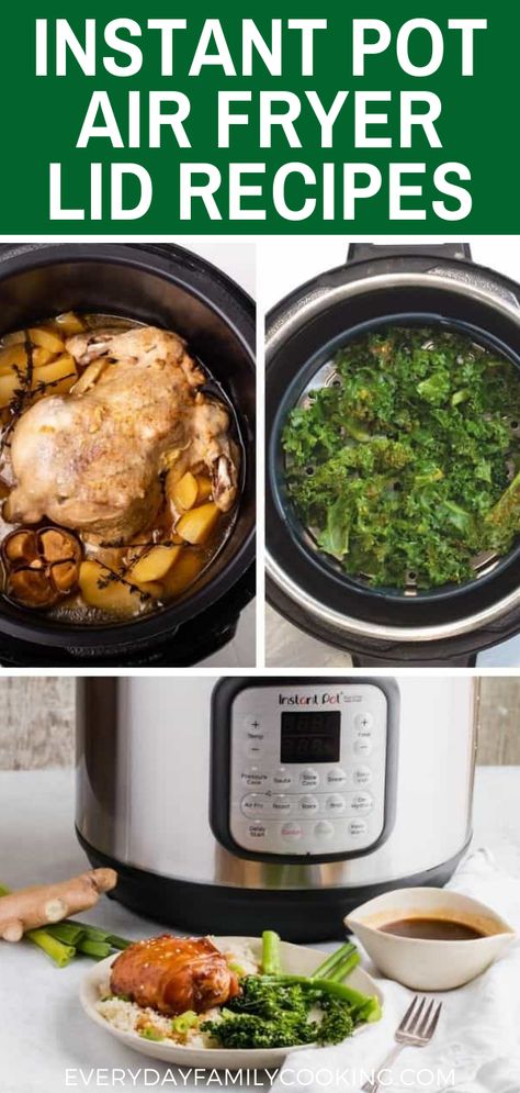 Delicious Instant Pot Air Fryer Lid Recipes Instant Pot Air Fryer, Instant Pot Air Fryer Recipes, Instant Pot Air Fryer Lid Recipes, Instant Pot Omni Plus Air Fryer Recipes, Ninja Foodie Smart Lid Recipes, Instant Vortex Plus Air Fryer Recipes, Instant Pot Duo Crisp Air Fryer Recipes, Quick Family Dinners, Homemade Dinner Recipes