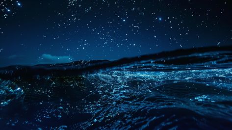 Diving at Night with Noctilucent Insects View At Night, Single Lens Reflex Camera, Inspirational Digital Art, Night High, Photography Movies, Reflex Camera, Photography Games, Educational Books, The Night Sky