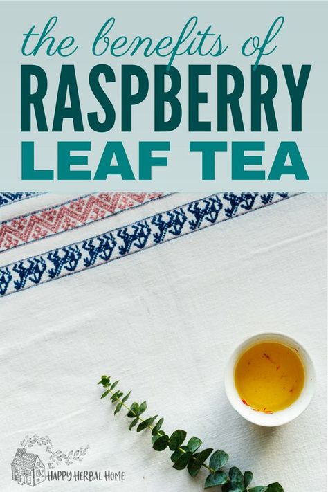 Benefits of red raspberry leaf tea. The womans and pregnancy herb. Although, it's good for men too! Rasberry Leaf Tea, Raspberry Leaf Tea Benefits, Red Raspberry Tea, Pregnancy Herbs, Red Raspberry Leaf Tea, Herbs Benefits, Baby Nutrition, Healthy Period, Raspberry Leaf Tea