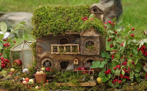 Critter Crafts, Mouse Village, Town Garden, Forest Critters, Village Garden, Forest Lodge, Tree Felling, Garden Picnic, Hobbit Hole