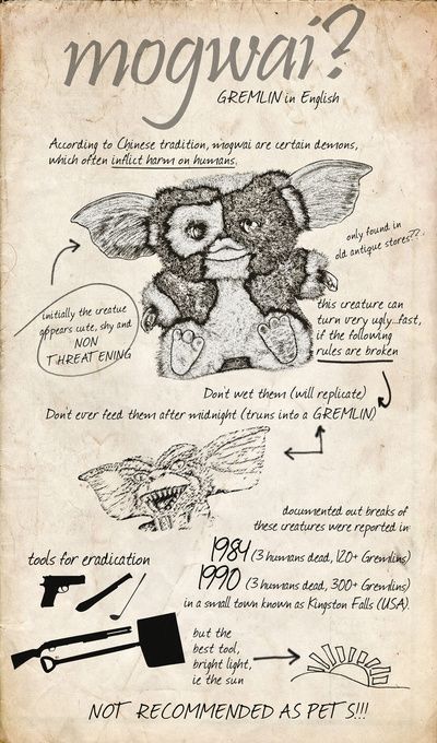 Gremlins Art, Movie Info, Info Graphic, Homeschool High School, Retro Horror, School Programs, Weird Creatures, Home School, Gremlins