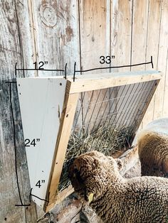 Sheep Feeder Diy, Simple Goat Playground, Diy Horse Feeder Hay, Hay Manger For Goats, Sheep Hay Feeder, Diy Goat Hay Feeder, Hay Feeder For Goats, Diy Hay Feeder, Sheep Feeders