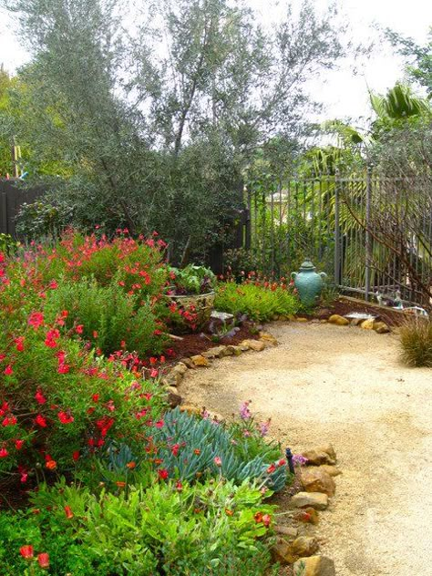 Mediterranean Garden Design, Drought Tolerant Landscape, Mediterranean Landscaping, California Garden, Easy Landscaping, Mediterranean Garden, Native Garden, Traditional Landscape, Garden Edging