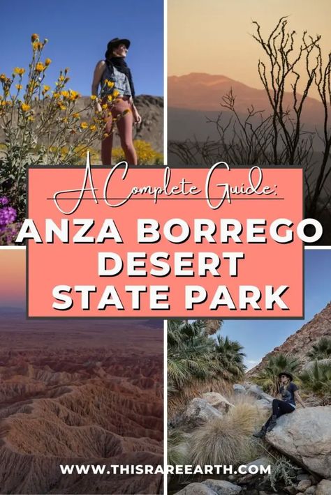 A Complete Guide to Visiting Anza Borrego Desert State Park - This Rare Earth Anza Borrego State Park, Southern California Hikes, Borrego Springs, Anza Borrego, Beautiful California, Torrey Pines, Hiking Essentials, Road Trip Destinations, Road Trip Usa