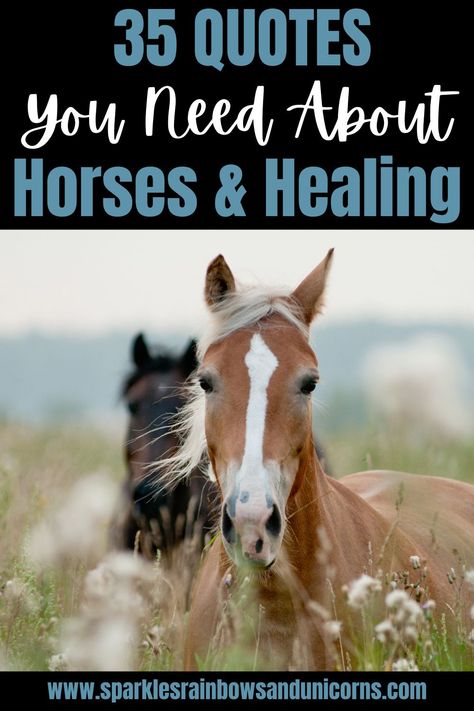 Horses are beautiful and amazing but there is more to horses than what meets the eye. I curated a list of quotes about horses and healing, because horses have a unique ability to help people heal.... Click link to read the post! #horsesandhealing #healinghorses #horsequotes #healinghorsequotes #horsesandhealingquotes #equestrianquotes Horses Are Good For The Soul, Horse Healing Quotes, Advice From A Horse, Horses Healing Quotes, Beautiful Horse Quotes, Horse Therapy Quotes, Horses Quotes Inspirational, Equine Therapy Quotes, Love Horses Quotes