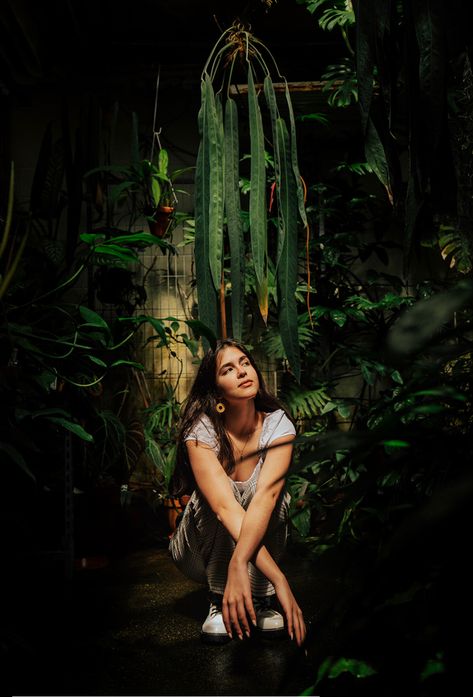 Plant Aesthetic Photoshoot, Indoor Plants Photoshoot, Plants Photoshoot Ideas, Greenary Photoshoot Aesthetic, Botanic Gardens Photoshoot, Plant Photoshoot Ideas, Conservatory Photoshoot, Green House Photoshoot, Photoshoot With Plants