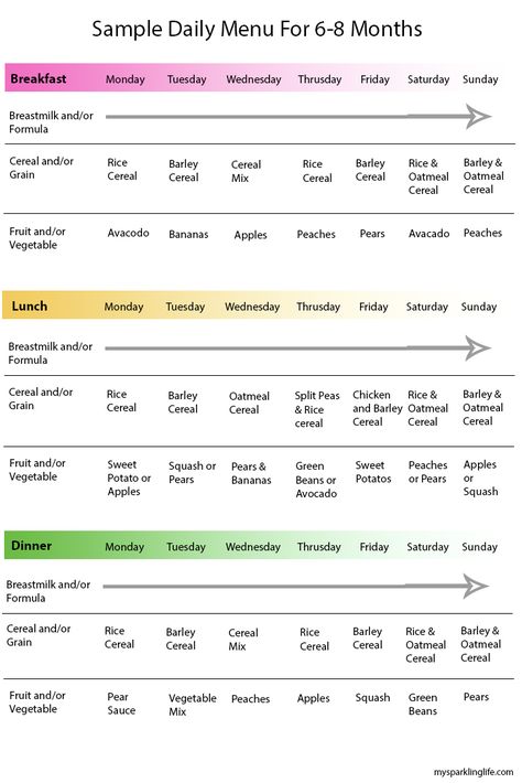 Blw Menu 6 Months, Baby Solid Food Schedule, 6 Months Baby Food, Food Schedule, Baby Food Guide, Baby Meal Plan, Baby Food Schedule, 6 Month Baby Food, 8 Month Baby