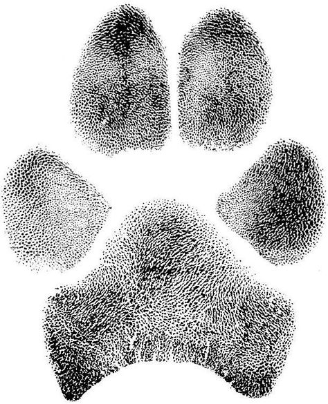 Dog Paw Prints, Real Cat, Pawprint Tattoo, Dog Paw Tattoo, Shampoo Brands, Dog Grooming Salons, Paw Tattoo, Cat Paw Print, Grooming Salon