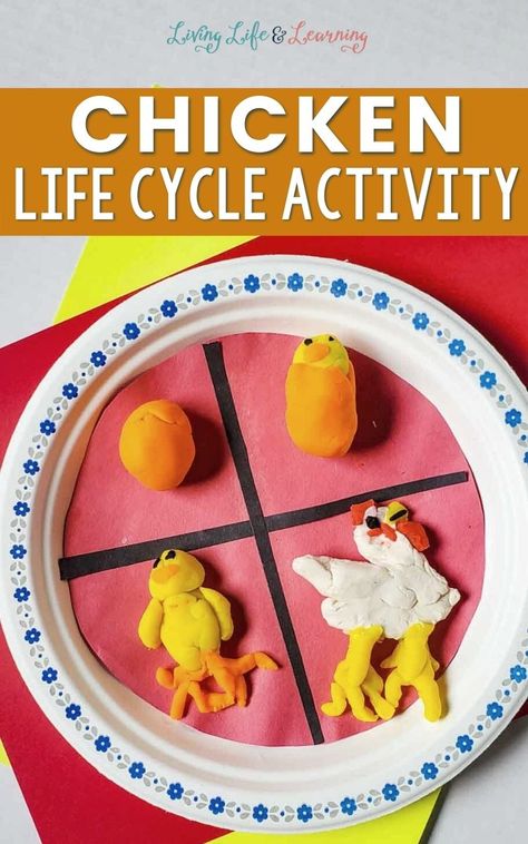 Chicken Activities, Chicken Life Cycle Activities, Chicken Printable, Chicken Life Cycle, Animal Activities For Kids, Life Cycles Activities, Stem Lab, Chicken Life, Homeschool Life