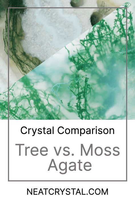 Take a journey back to the origins of Tree Agate and Moss Agate, exploring their geographical roots and historical significance. Tree Agate, Earth Elements, Logical Thinking, Be The One, Moss Agate, Always Be, We Need, The Journey, Agate