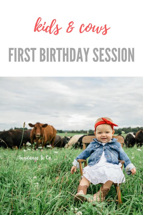 Birthday Cow Pictures, First Birthday Cow Photoshoot, 1st Birthday Farm Pictures Photo Ideas, Cow First Birthday Pictures, Baby And Cow Photoshoot, Farm Photoshoot Ideas Kids, Family Pictures With Cows, Baby Farm Photoshoot, Cow Photoshoot