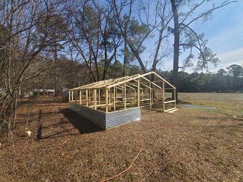 Building a 12 stall chicken barn for my fowl Aviary Ideas, Poultry Farm Design, Raised Garden Beds Diy Vegetables, Goat Shed, Chicken Houses, Chicken Barn, Poultry Farming, Poultry House, Backyard Chicken Coop Plans