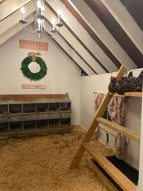 Cute Chicken Coop Interior, Luxury Chicken Coop Interior, Horse Stall Chicken Coop, Barn Stall Chicken Coop, Small Chicken Roost Ideas Diy, Metal Shed Chicken Coop Ideas, Small Chicken Coop Interior Ideas, Chicken Coop Set Up Inside, Chicken Coop Roosting Bars