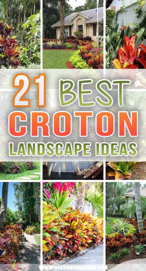 Spruce up your landscape with these croton landscaping ideas and add some color and texture to your outdoor space. #decorhomeideas Tropical Plant Landscaping Ideas, Front Yard Tropical Landscaping, Tropical Front Garden Ideas, Front Yard Landscaping In Florida, Tropical Yard Ideas, Plants For Florida Landscaping, Tropical Rock Garden Ideas, Low Maintenance Tropical Garden, Plants Around Palm Trees