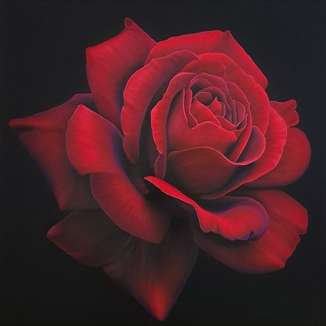 Rose Painting Realistic, Rose Canvas Painting, Painting On Black Background, Red Rose Painting, Red Rose Art, Painting Mood, Black Background Painting, Easy Rose, Arte Aesthetic