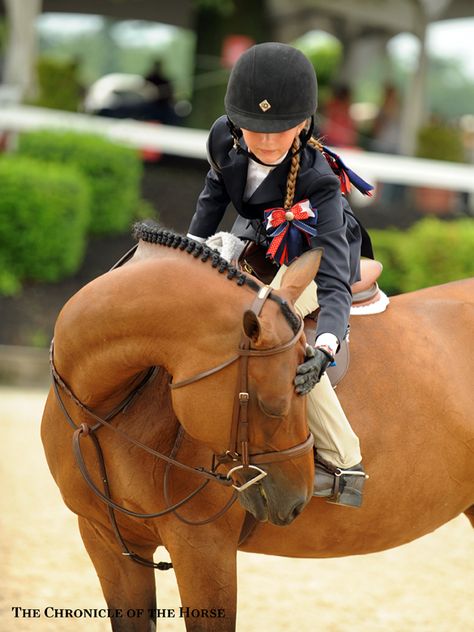 Photos & Video | The Chronicle of the Horse Hunter Horse, Cute Ponies, Equestrian Lifestyle, Hunter Jumper, Horse World, Horse Crazy, Horse Equestrian, Equestrian Life, Cute Horses