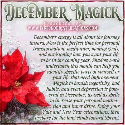 Folk Remedies, Wiccan Sabbats, Happy Winter Solstice, Making Goals, Charmed Book Of Shadows, Christmas Playlist, Grimoire Book, Witch Shop, Tarot Tips