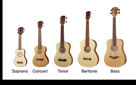 Ukulele Sizes, Ukulele Soprano, Ukelele, Bass Guitar, Ukulele, Musical Instruments, Bass, Music Instruments, Musical