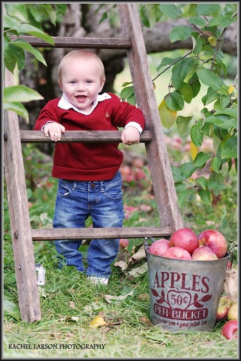 Children's Photography - Baby / Apple Picking / Rachel Larson Photography Apple Picking Photography, Apple Orchard Photography, Apple Orchard Pictures, Orchard Photography, Fall Baby Pictures, Baby Apple, Apple Picture, Apple Photo, Fall Mini Sessions