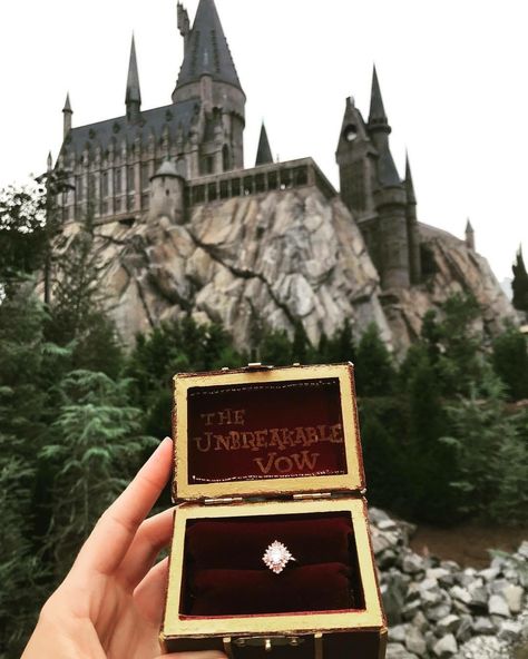 I made this #Harrypotter #proposal #ring box for my best friends #engagement #unbreakablevow #heidigibson #universalstudios #wizardingworldofharrypotter #DiagonAlley #hogwartscastle Hogwarts Proposal, Harry Potter Themed Engagement Ring, Harry Potter Proposal Engagement, Harry Potter Ring Box, Engagement Ring Boxes Harry Potter, Harry Potter Engagement Ring, Purposal Ring Box, Harry Potter Engagement, Harry Potter Ring