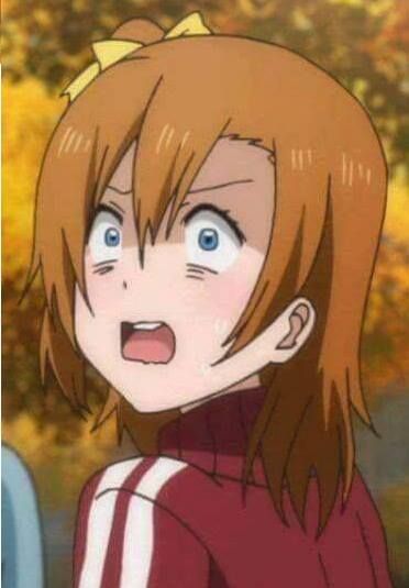 Wholesome Messages, Reaction Faces, Honoka Kousaka, Anime Reaction, Anime Face, Waifu Material, Anime Expressions, Cartoon Memes, Anime Stickers