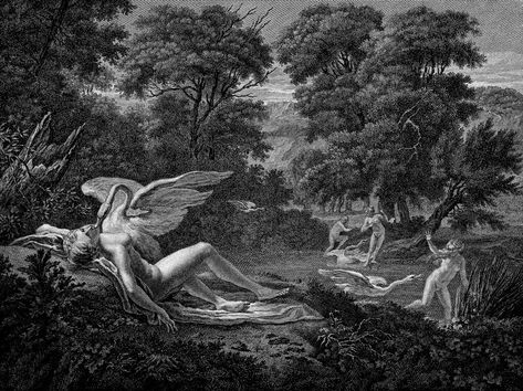 Leda and the swan - Engraving by L. Garreau after Jan Verkolye Yeats Poems, Aqua Regia, Leda And The Swan, Art History Timeline, Most Famous Poems, W B Yeats, Swan Painting, Irish Mythology, Swans Art