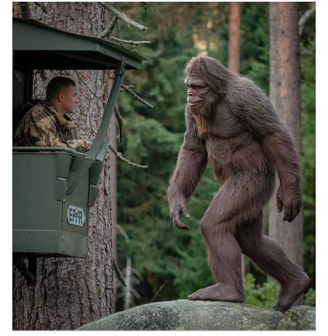 Bigfoot Pictures, Collage, Pins