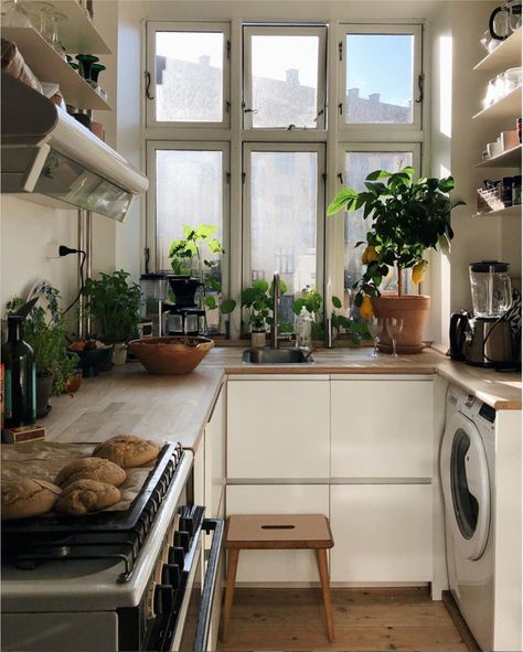 Small Space Inspiration, Flat Interior Design, My Scandinavian Home, Lots Of Plants, Cosy Apartment, Flat Interior, Appartement Design, Flat Ideas, Small Flat