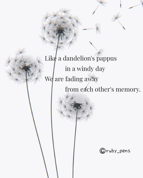 Quotes About Dandelions, Dandelions Quote, Dendalions Flower, Dandelion Aesthetic Art, Dandelion Poem, Dandelion Meaning, Dandelion Quotes, Flower Poem, Flower Quote