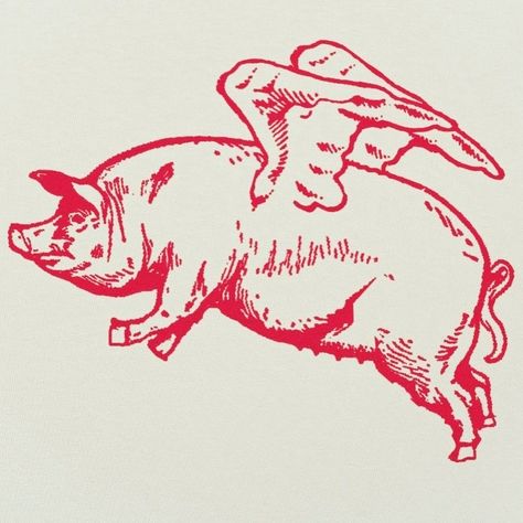 Flying Pig Tattoo, Pig Graphic, Pig Logo, Pig Tattoo, Flying Pigs, Pig Drawing, Pig Illustration, Pigs Fly, Inspiration Images