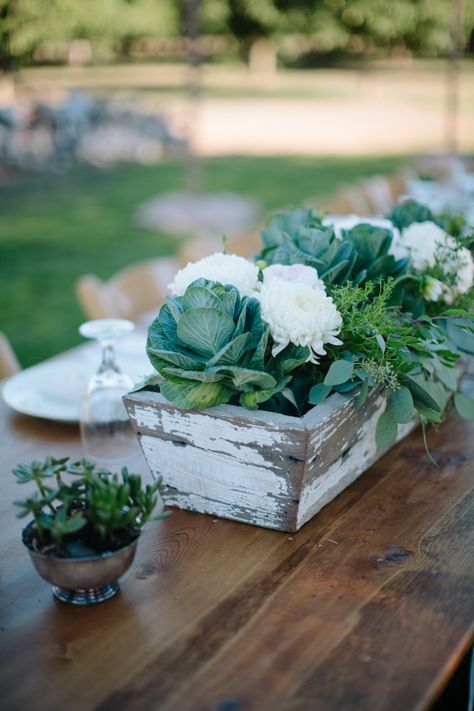 Casual Walnut Orchard Wedding  Read more - http://www.stylemepretty.com/2014/02/05/casual-walnut-orchard-wedding/ Cabbage Centerpiece, Planter Box Centerpiece, Fruit Wedding, Ornamental Cabbage, Elegant Wedding Centerpiece, Orchard Wedding, Rustic Centerpieces, Wedding Centerpieces Diy, Planter Box