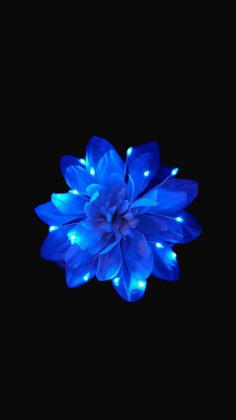 Lily Pictures, Blue Items, Phone Decor, See World, Flower Iphone Wallpaper, Phone Theme, Flower Blue, Hibiscus Flower, Neon Blue