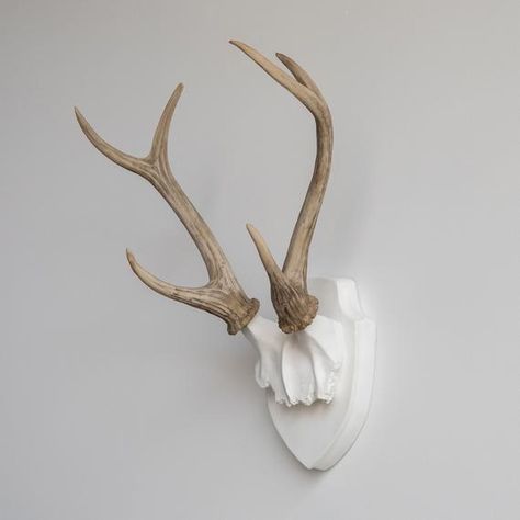 Deer Horns Decor, Norse House, Antlers Wall Decor, Deer Antler Wall Decor, Deer Antler Mount, Scottish Interiors, Antler Rack, Antler Wall Decor, Taxidermy Deer