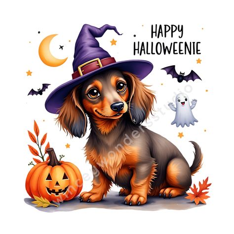 Fall Dachshund, Happy Thanksgiving Dachshund, Halloweenie Dachshund, Dachshund Halloween, Dachshund Art Illustration Weenie Dogs, Scooby Doo Pictures, Happy Halloweenie, Happy Halloween Pictures, Dachshund Design