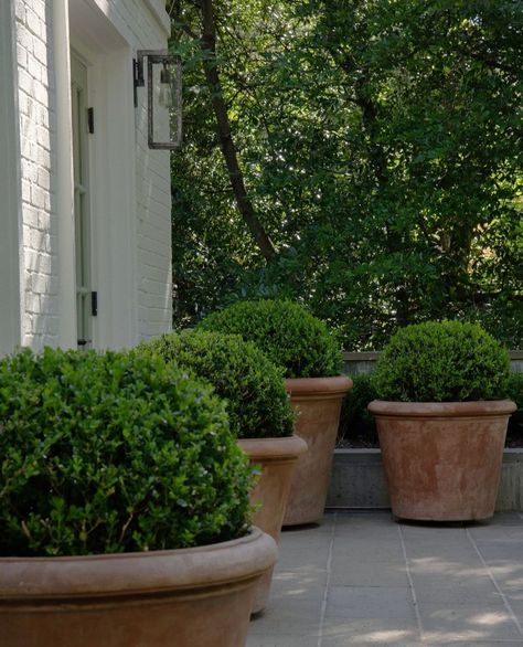 I asked landscaping experts @fromthegrounduplandscape and @millhousehowell_landscape.co what clients are asking for right now, what trends they expect or hope to see more of in 2025, and what homeowners can be doing now to prepare their yards for spring. Visit the blog to hear what they said. www.gardenandgracedesign.com . . . #landscapedesign #landscapearchitecture #landscaping #2025trends #yarddesign #backyarddesign #yardmaintenance #designtrends #asktheexperts #dallasgardens #birming... Historic Farmhouse, Boxwood Garden, Yard Maintenance, Exterior Inspiration, Garden Design Layout, Raised Planter, Yard Design, Farmhouse Exterior, They Said