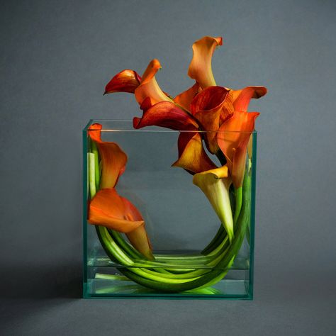 Modern — Designs By Ahn | NYC Florist Lily Centerpieces, فن النسيج, Underwater Flowers, Nyc Florist, Modern Floral Arrangements, Modern Floral Design, Home Entertaining, Ikebana Arrangements, Ikebana Flower Arrangement