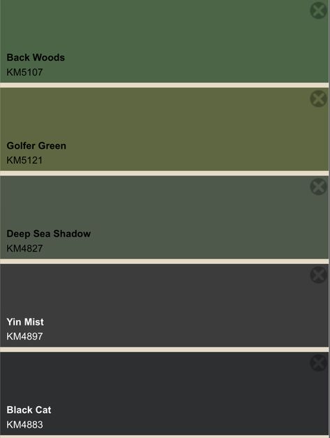 Grunge Colors Pallete, Fairy Grunge Colour Palette, Green Charcoal Color Palette, Grunge Color Palette Aesthetic, Fairy Grunge Color Pallete, Dark Green Pallet, Dark Academia Color Palette Green, Grunge Color Pallete, Military Color Palette