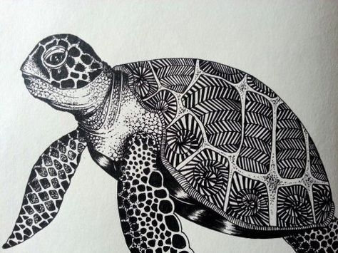 Turtle Side View, Turtle Underwater Drawing, Land Turtle Drawing, Sea Turtle Top View, Turtle Vector Illustration, Turtle Tattoos, Turtle Images, Photoshop Projects, Turtle Tattoo