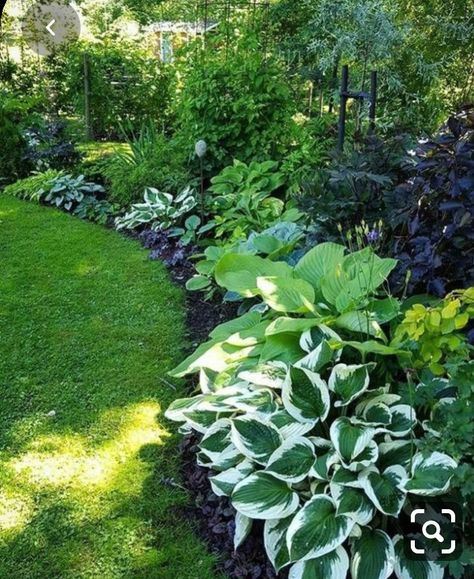 Terrace Gardening, Gardening Videos, Play Garden, Hosta Gardens, Flower Garden Design, Garden Design Ideas, Have Inspiration, Garden Yard Ideas, Beautiful Flowers Garden