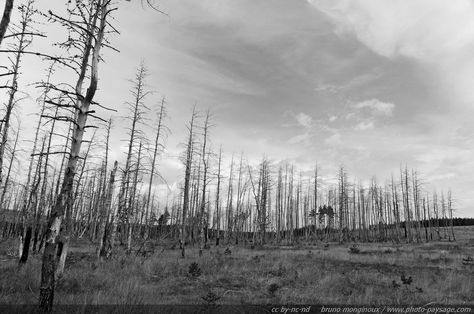 Desolate Wasteland, Desolate Landscape, Champagne Campaign, Instagram Graphic, Fantasy Novel, End Of The World, Photo Reference, Landscape Photos, Writing Inspiration