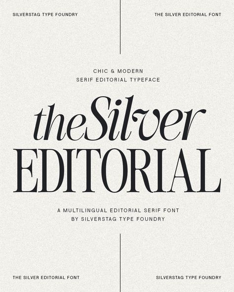 ✨ Guess what? The Silver Editorial Serif Font just claimed the ���🥈 spot as my second most popular font across all platforms this August! 🎉 Can you guess which font took the 🥇 gold? Stay tuned for the big reveal tomorrow! 😉 #fonts #typography #design #creativemarket #augustfavorites #guessinggame Silver Editorial, Letterpress Font, Winter Fonts, Classy Fonts, Classic Fonts, Popular Fonts, Type Foundry, Font Pairing, Serif Typeface