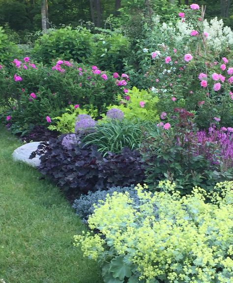 Salvia And Lavender Garden, North East Garden Ideas, Persicaria Polymorpha, Allium Christophii, Rugosa Rose, Steep Gardens, Beautiful Gardens Landscape, Rose Garden Design, John Davis