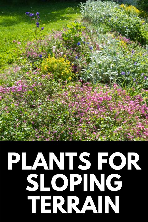 Sloping Backyard, Steep Hillside Landscaping, Steep Backyard, Sloped Front Yard, Steep Gardens, Aesthetic Backyard, Sloping Garden, Sloped Backyard Landscaping, Terraced Landscaping